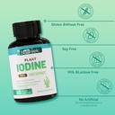iodine-supplement-from-sea-vegetable-com-6.jpg