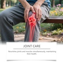 mqn-magnesium-joint-cream-with-mineral-d-5.jpg