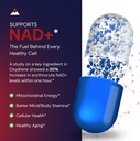 novex-biotech-oxydrene-nad-enhancer-natu-4.jpg