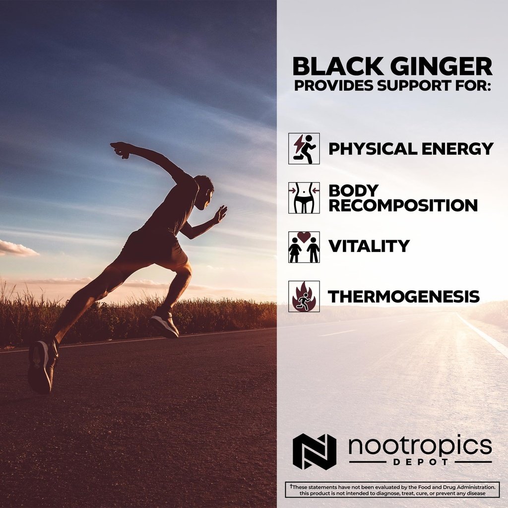 nootropics-depot-black-ginger-extract-ca-4.jpg