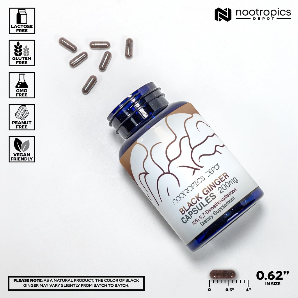 nootropics-depot-black-ginger-extract-ca-3.jpg