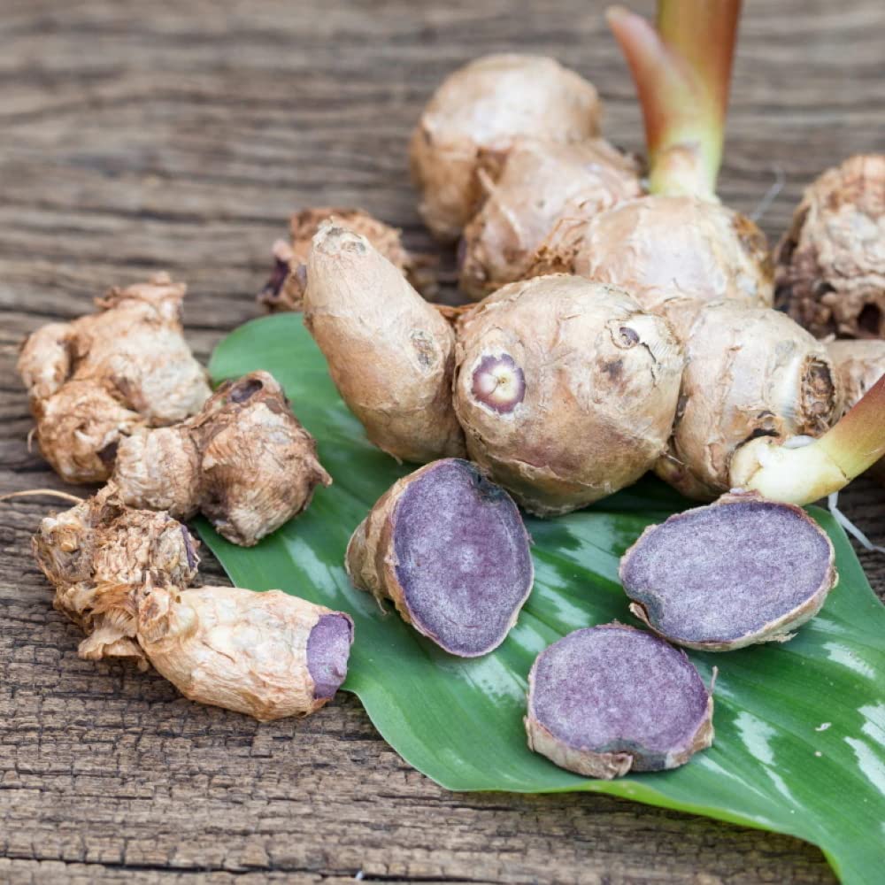 ujido-black-ginger-matcha-tablets-180-ta-4.jpg