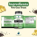 american-standard-supplements-organic-gi-6.jpg
