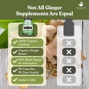 american-standard-supplements-organic-gi-5.jpg