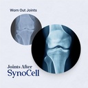 synocell-glucosamine-chondroitin-complex-2.jpg