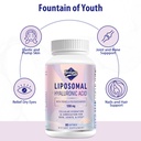 liposomal-hyaluronic-acid-supplements-10-6.jpg
