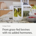 needed-virtual-bundle-prenatal-wellness--4.jpg