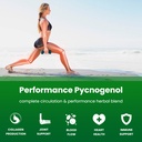 nutrachamps-pycnogenol-french-maritime-p-4.jpg