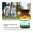 country-life-pycnogenol-100mg-french-mar-2.jpg