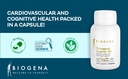 biogena-pycnogenol-100-mg-gold-with-prem-6.jpg