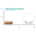dr-whitaker-s-clinical-grade-pycnogenol--3.jpg
