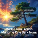 kaire-super-maritime-prime-120-quick-rel-3.jpg