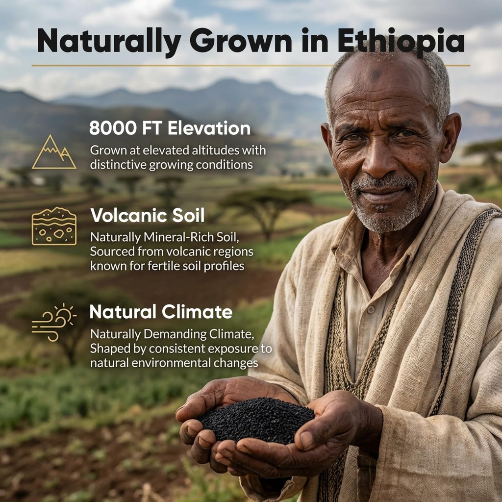 ethiopian-black-seed-oil-purely-nutrient-4.jpg