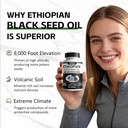 purely-nutrient-ethiopian-black-seed-oil-5.jpg