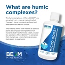 beam-minerals-micro-boost-and-electrolyz-3.jpg