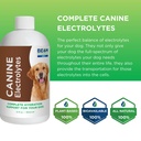 beam-minerals-complete-canine-electrolyt-4.jpg