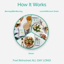 bodi-3-day-refresh-shakeology-0g-added-s-4.jpg