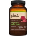 plnt-organic-beet-root-a-circulation-blo-3.jpg
