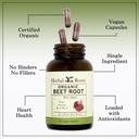 herbal-roots-organic-beet-root-powder-ca-4.jpg
