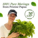 usda-organic-moringa-superfood-lactation-4.jpg
