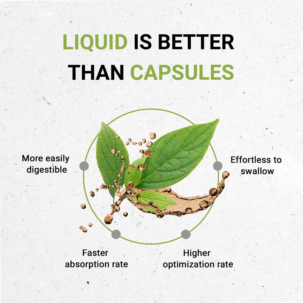 secrets-of-the-tribe-bilberry-fruit-usda-2.jpg