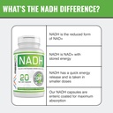 maac10-nadh-supplement-20mg-each-60-caps-4.jpg