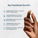 santo-remedio-nad-supplement-helps-suppo-3.jpg