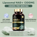 liposomal-nad-supplement-1200mg-with-tra-2.jpg