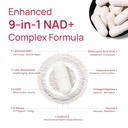 nad-supplement-for-women-nmn-alternative-4.jpg