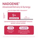 nad-supplement-for-women-nmn-alternative-6.jpg