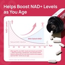nad-supplement-for-women-nmn-alternative-5.jpg