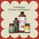 kidney-complete-bundle-full-kidney-clean-4.jpg