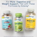 solaray-lipotropic-1000-plus-digestive-e-6.jpg