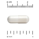 california-gold-nutrition-zinc-l-carnosi-3.jpg