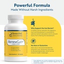 researched-nutritionals-renewgut-gi-comp-4.jpg