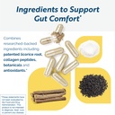 researched-nutritionals-renewgut-gi-comp-3.jpg