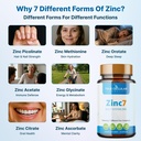 zinc7-7-in-1-zinc-complex-50mg-maximum-a-5.jpg