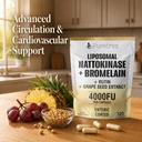 liposomal-nattokinase-4000-fu-bromelain--6.jpg