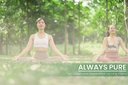 pure-original-ingredients-horsetail-100--6.jpg