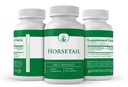 pure-original-ingredients-horsetail-100--4.jpg
