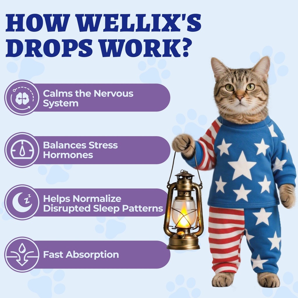 wellix-4oz-larger-volume-melatonin-for-d-5.jpg