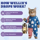 wellix-4oz-larger-volume-melatonin-for-d-5.jpg