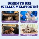 wellix-4oz-larger-volume-melatonin-for-d-4.jpg