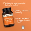 dr-mercola-liposomal-vitamin-c-brain-hea-4.jpg