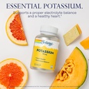 solaray-potassium-99-mg-electrolyte-bala-3.jpg
