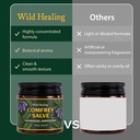 wild-healing-comfrey-salve-concentrated--6.jpg