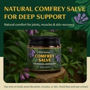 wild-healing-comfrey-salve-concentrated--2.jpg