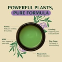 wild-healing-comfrey-salve-concentrated--4.jpg
