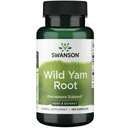 swanson-hrb-wild-yam-root-root-ext-100-c-4.jpg