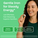 ez-melts-iron-supplement-for-daily-energ-2.jpg